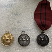 Cover image of Prize Medal 